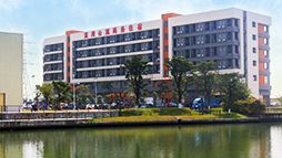corporate_Business_Services_Agency